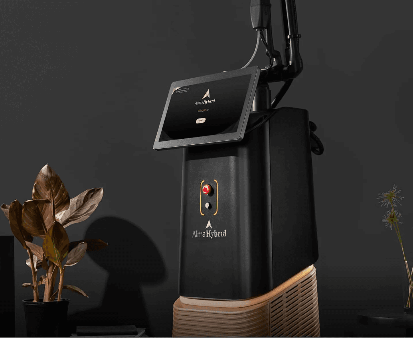 Alma Hybrid 2